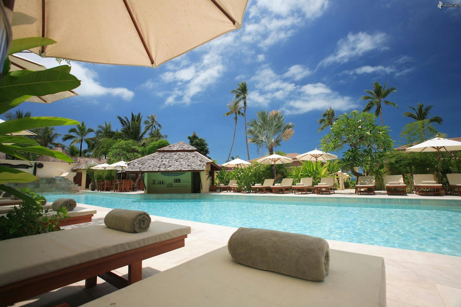 Hotel Website Design: Why It’s Your Strongest Marketing Tool